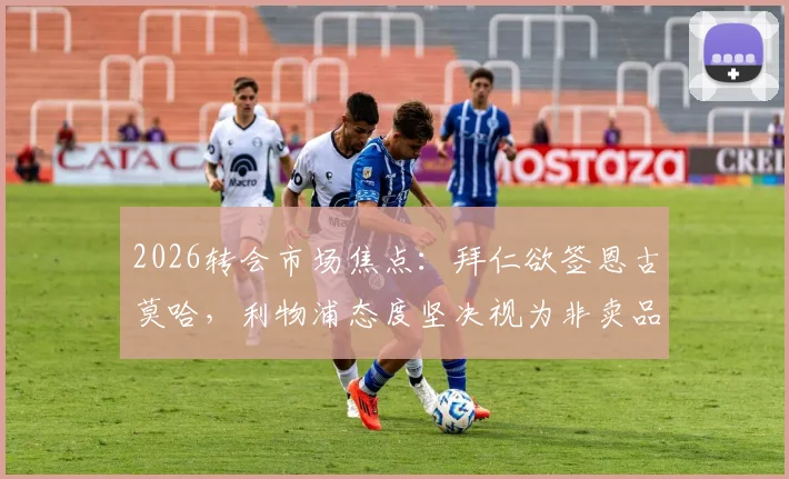 2026转会市场焦点：拜仁欲签恩古莫哈，利物浦态度坚决视为非卖品，球员未来何在