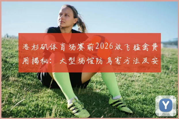 洛杉矶体育场赛前2026放飞猛禽费用揭秘：大型场馆防鸟害方法及安全规定全解析