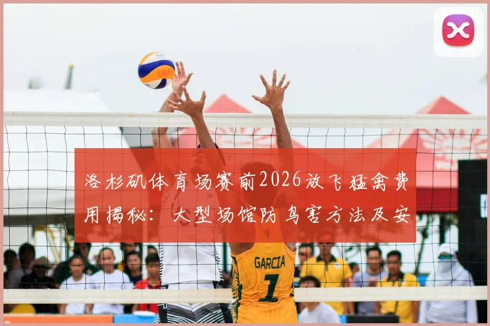 洛杉矶体育场赛前2026放飞猛禽费用揭秘：大型场馆防鸟害方法及安全规定全解析